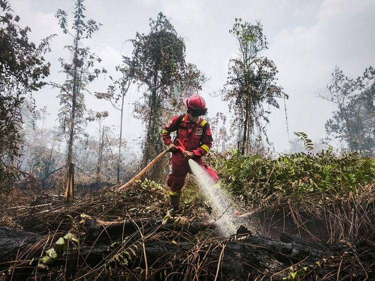 Hotspot Nasional 559 Titik, Kemenhut Perkuat Pengendalian di Kalteng
