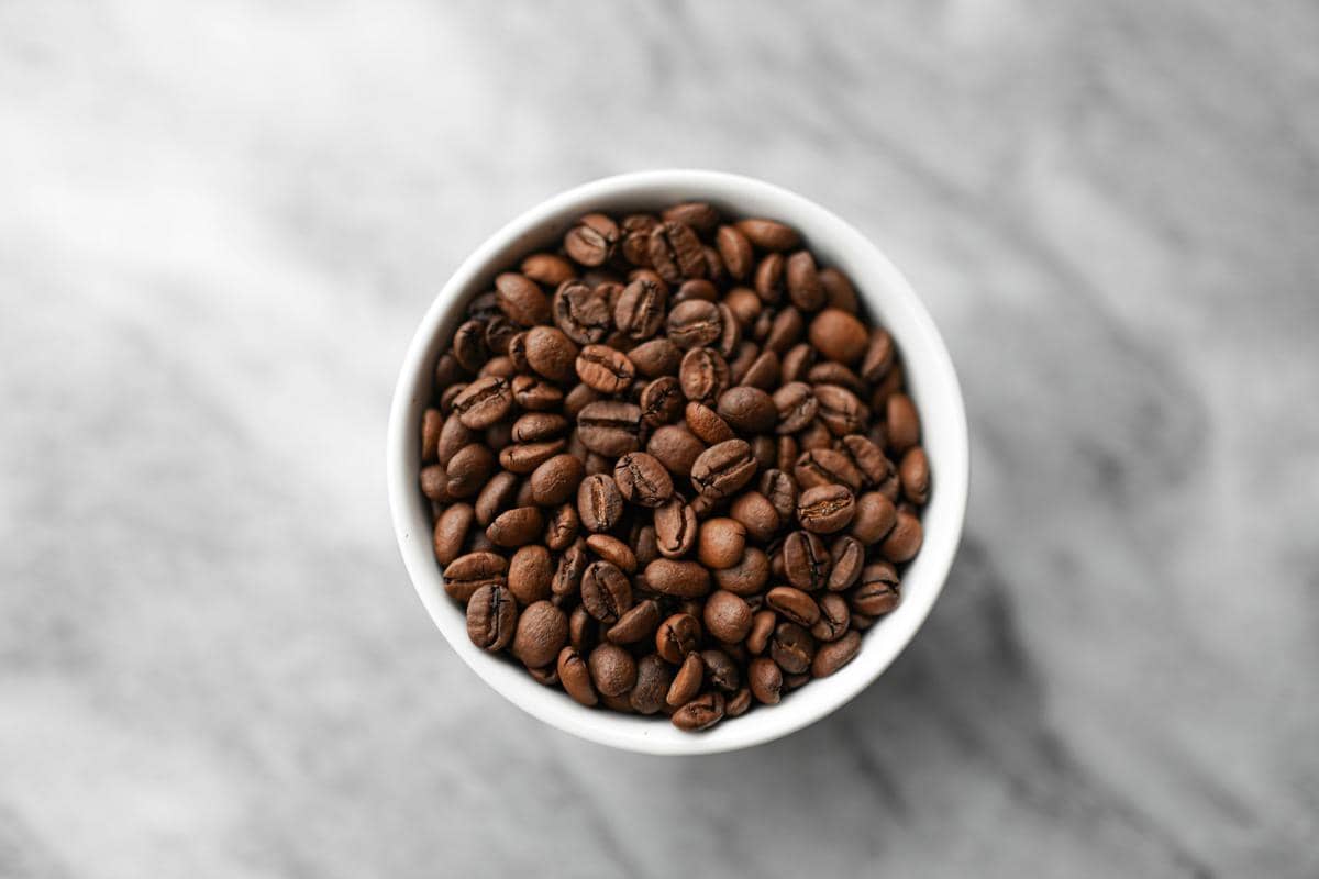 ilustrasi biji kopi