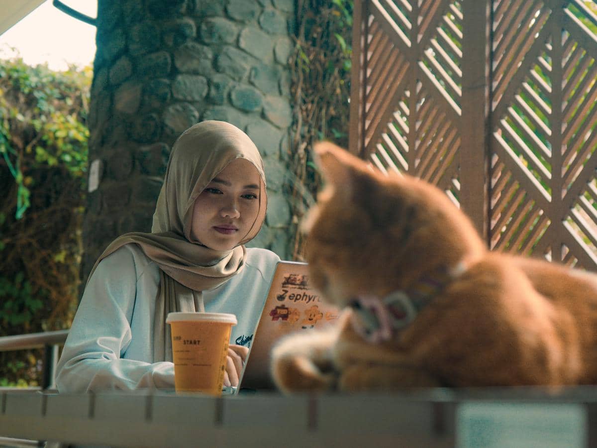 Still cut film pendek Meong!