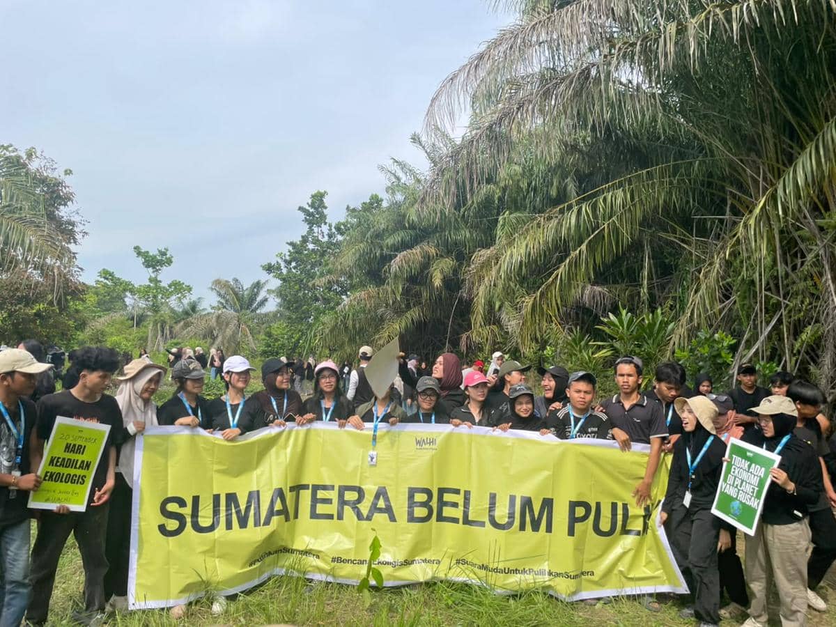 Kwala Serapuh Hadapi Abrasi, WALHI dan Mahasiswa Tanam Pohon