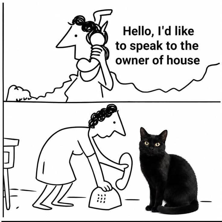 meme kucing rumahan
