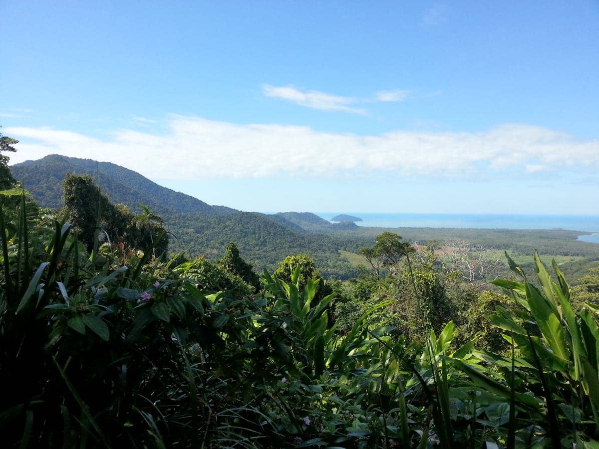 Daintree Rainforest