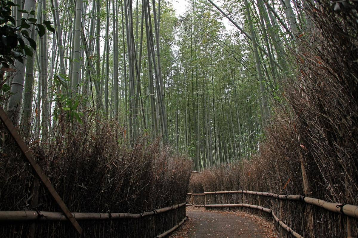 Pemandangan kawasan Arashiyama di Kyoto, Jepang, dengan lanskap alam dan perbukitan di kejauhan.