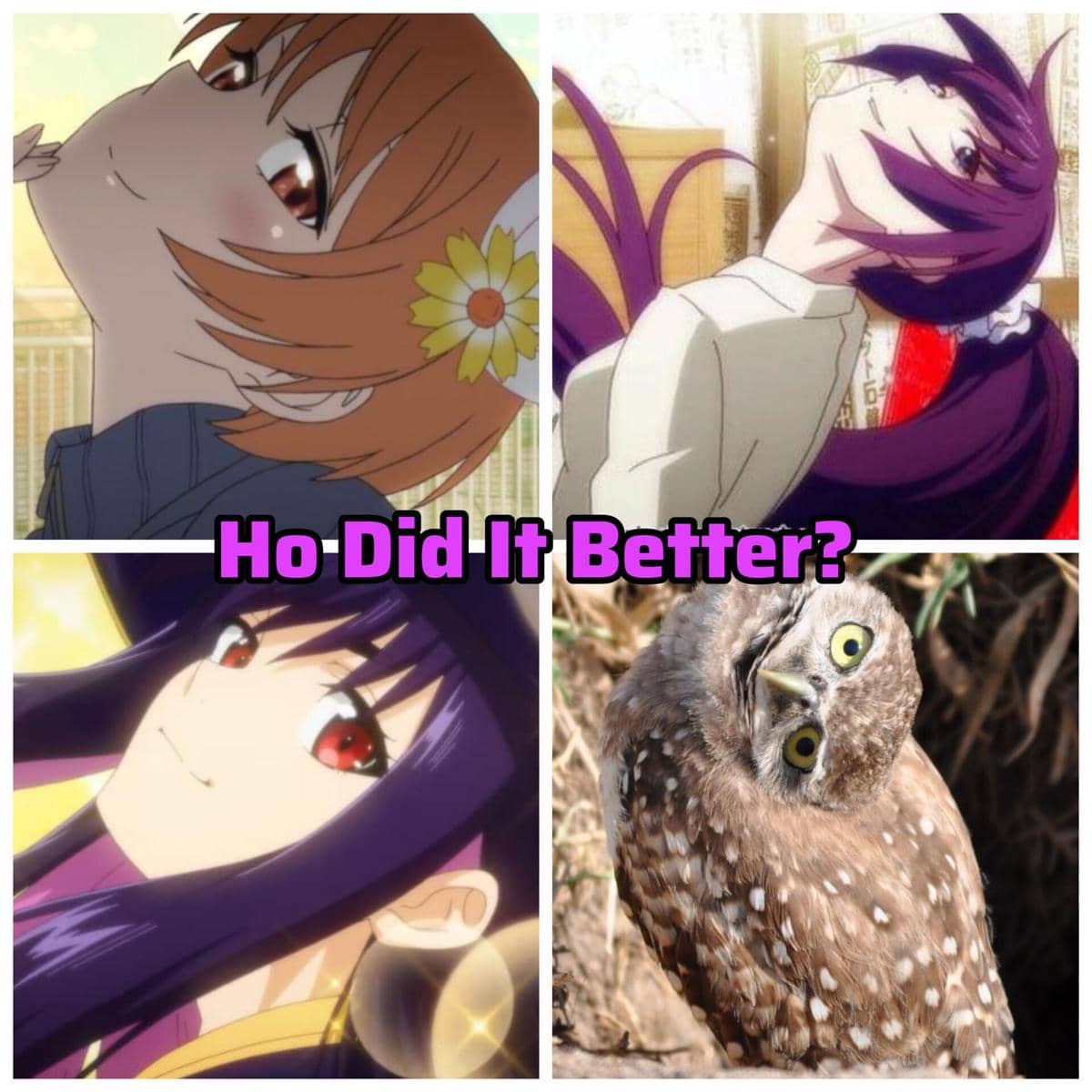 meme anime tentang burung hantu