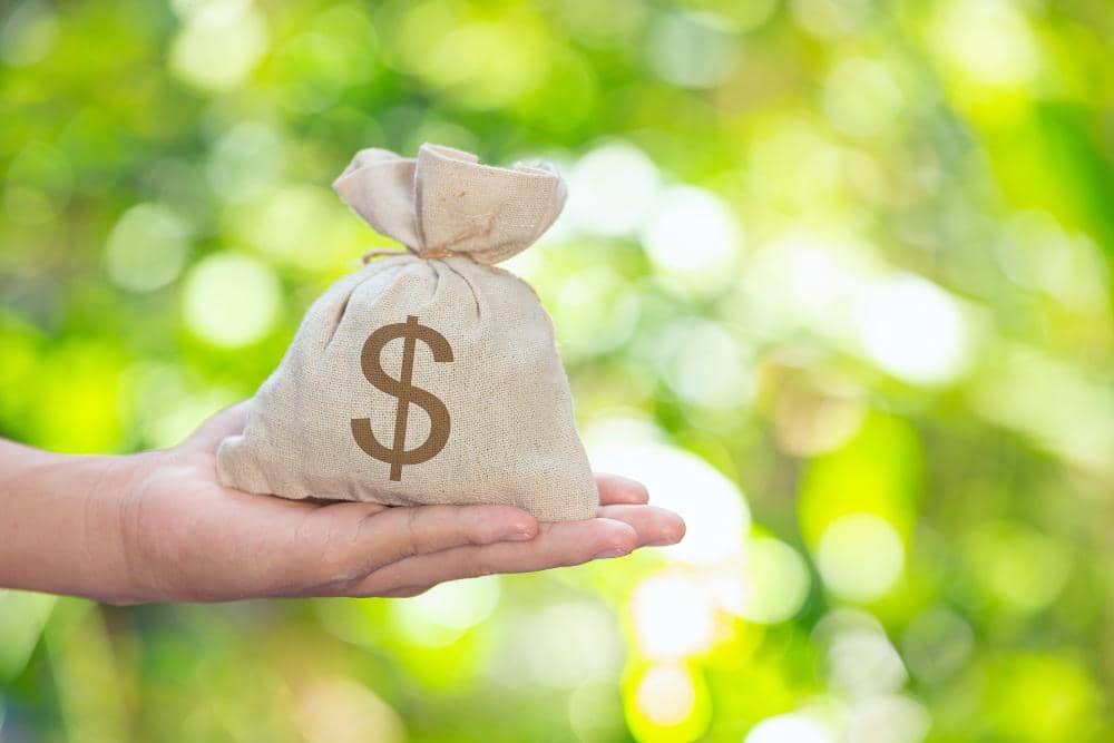 kantong berlogo dolar