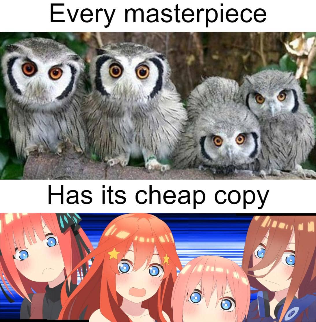 meme anime tentang burung hantu