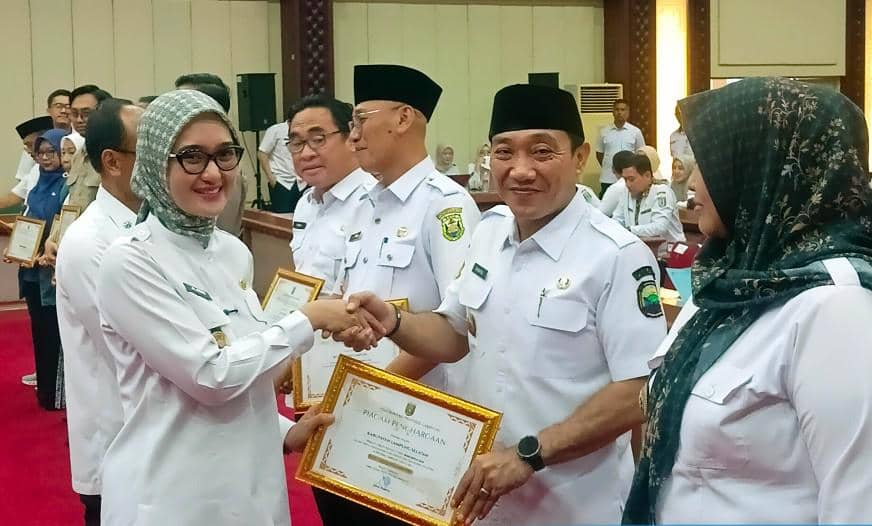 Lampung Selatan meraih penghargaan sebagai kabupaten/kota yang berkinerja baik dalam upaya pencegahan dan percepatan penurunan stunting di Provinsi Lampung Tahun 2026. (Dok. Pemkab Lamsel).