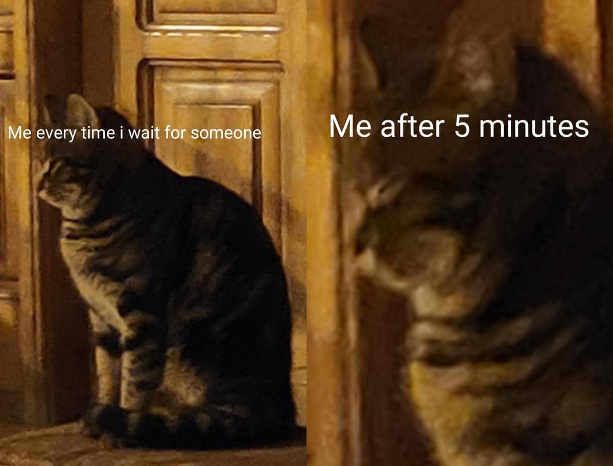 meme kucing tentang terlambat