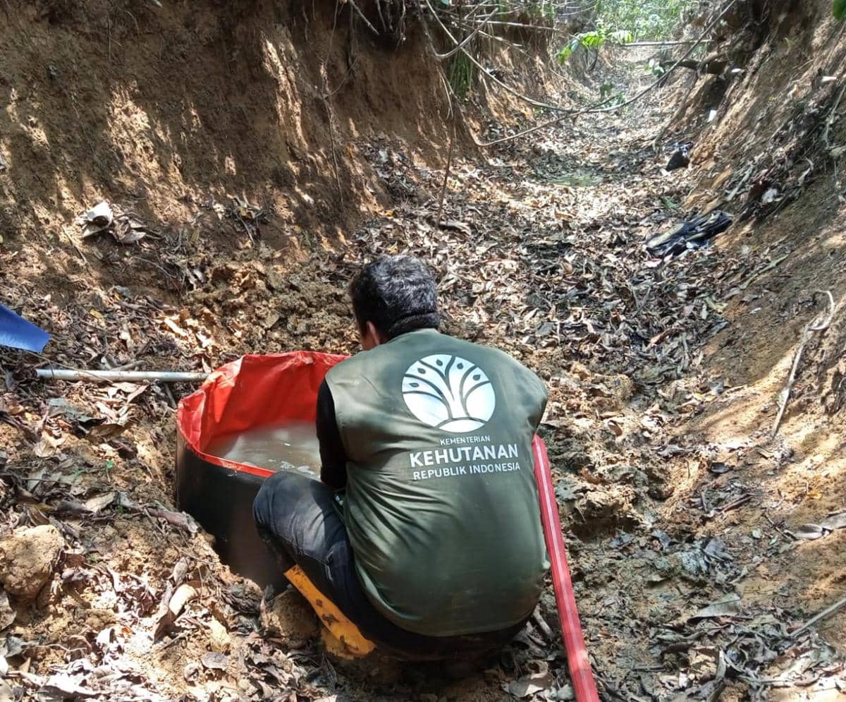 Kemarau Panjang Ancam Satwa Kaltim, 4 Fakta BKSDA Siapkan Kubangan Air