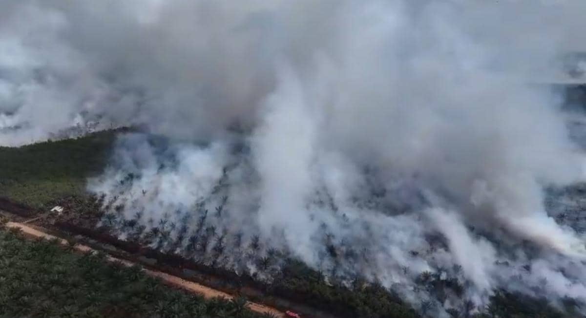 Karhutla Pedamaran OKI Masih Terbakar Dekat Perkebunan Sawit