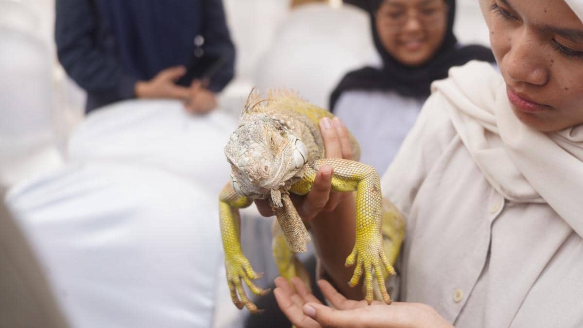 Kegiatan vaksinasi rabies gratis bagi hewan di Sumatera Selatan yang didokumentasikan Balai Karantina.