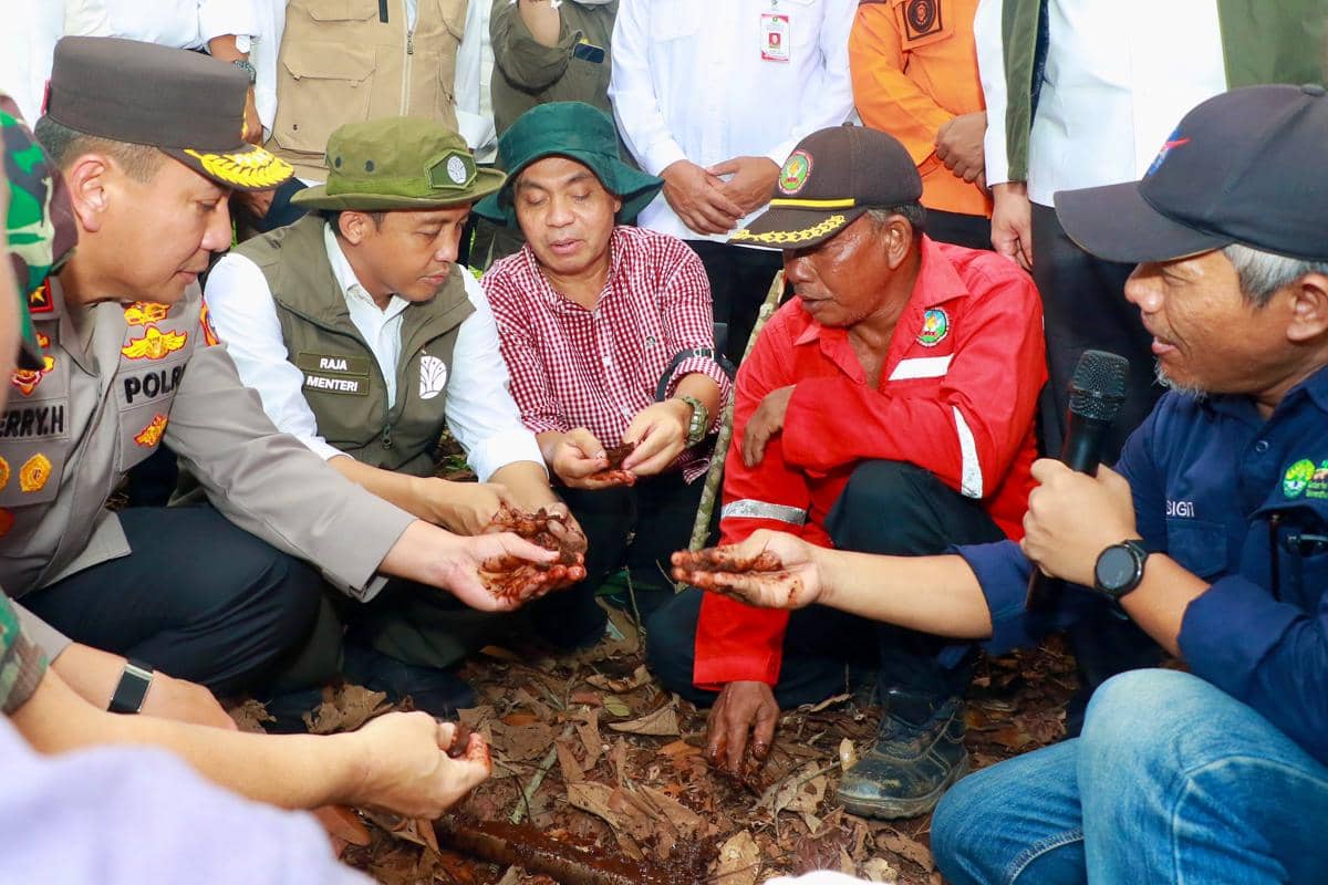 Menhut Sebut Praktik Pengelolaan Gambut di Riau Jadi Rujukan BPGMN