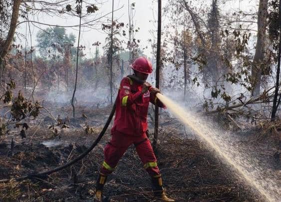 Hotspot High Confidence Meningkat, Kemenhut Perkuat Respons Lapangan
