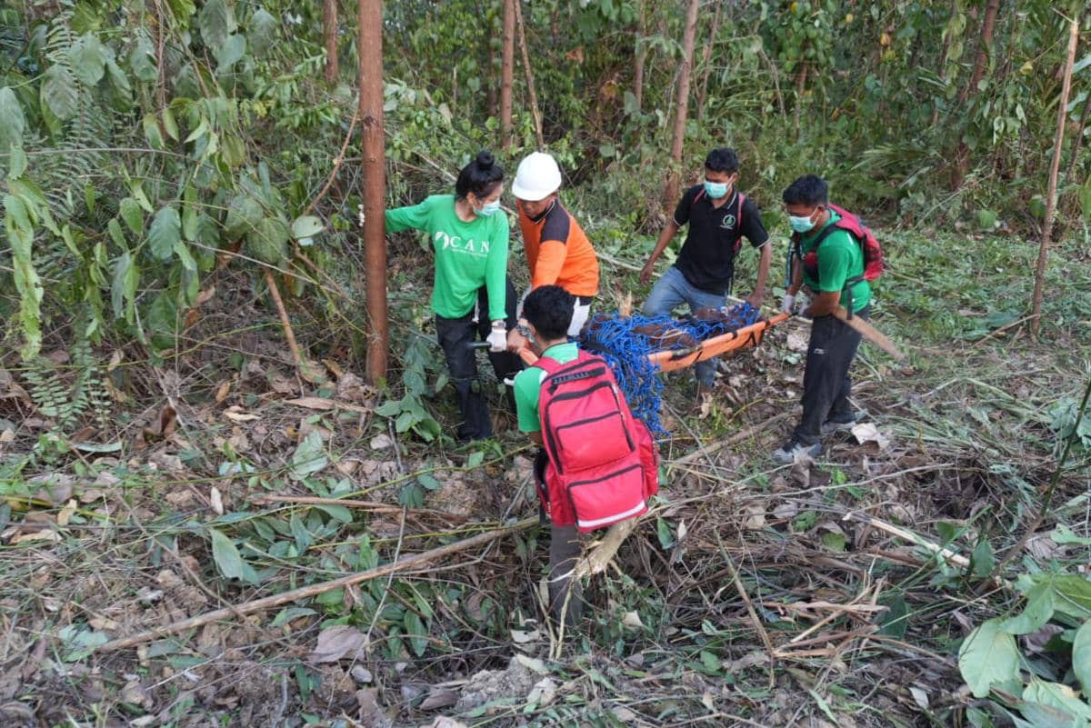 Ditemukan Lemas dan Kurang Gizi, Orang Utan di Kukar Direhabilitasi