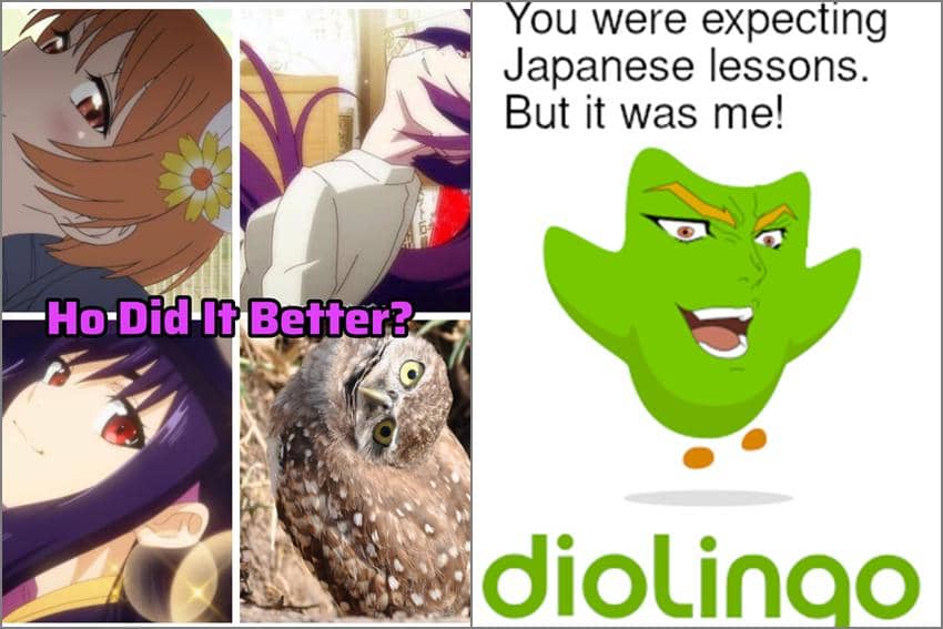 7 Meme Anime tentang Burung Hantu, Doyan Cewek Anime Juga?