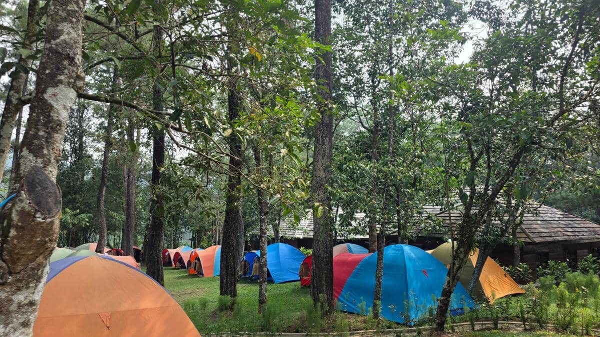 Sentul Eco Edutourism Forest (SEETF), Kabupaten Bogor, Jawa Barat. (dok. Palawi)