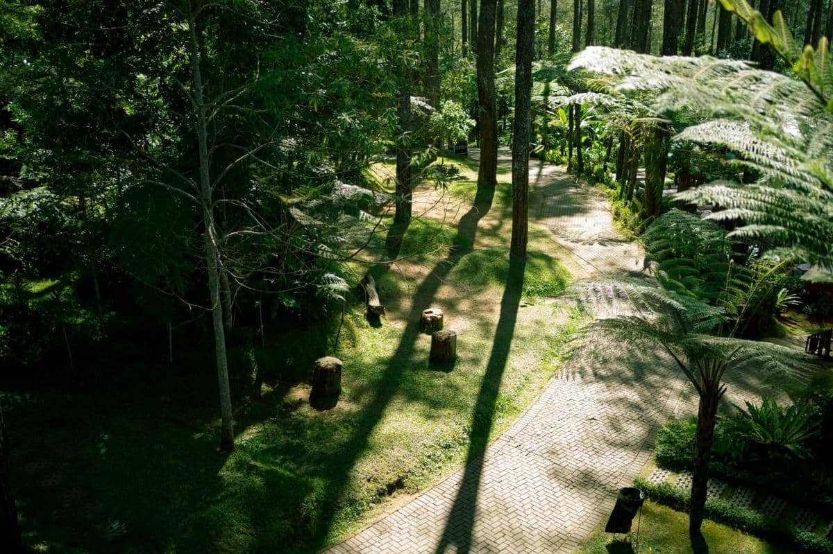 Orchid Forest Cikole, Kabupaten Bandung Barat, Jawa Barat. (Dok. Palawi)