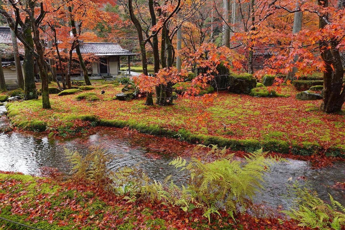 5 Tips Menyusun Itinerary Musim Gugur di Kyoto biar Tidak Tekor