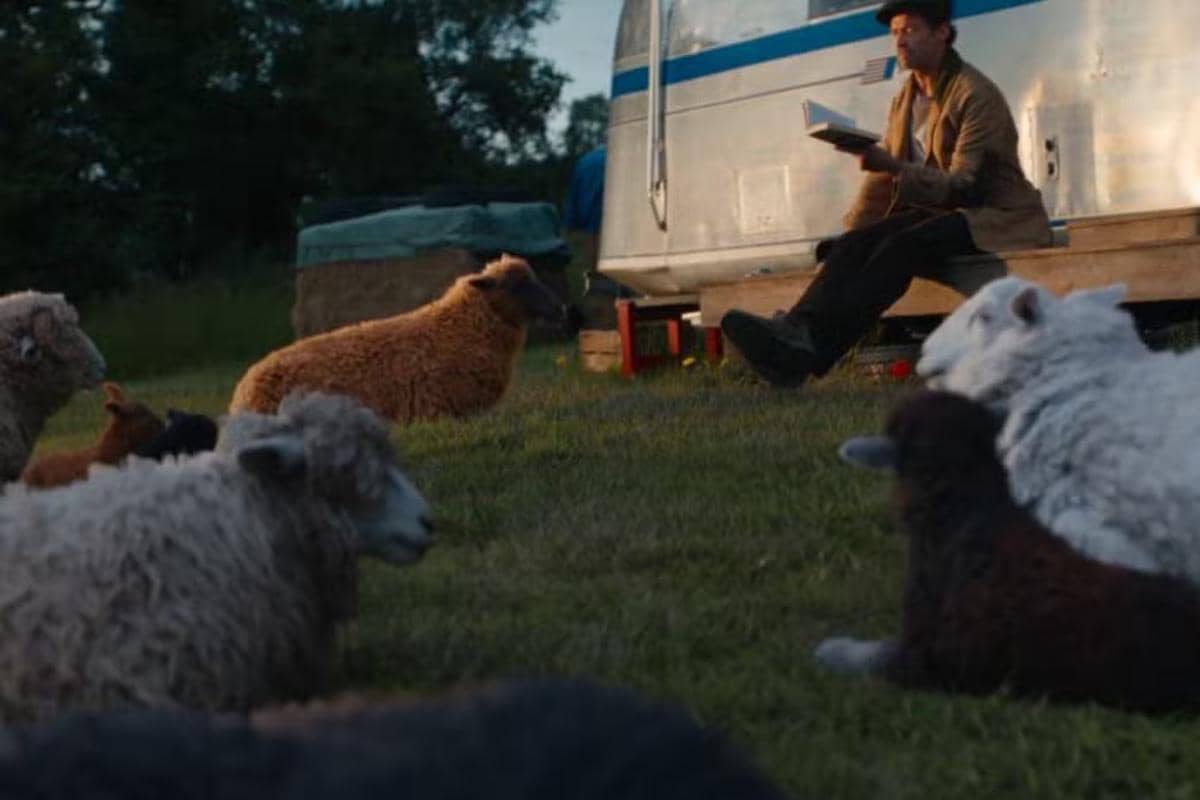 The Sheep Detectives