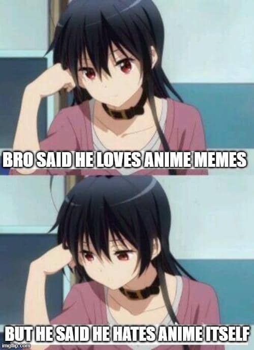 Meme anime bertema kekecewaan dengan teks humor yang dibagikan di komunitas daring Reddit r/Animemes.