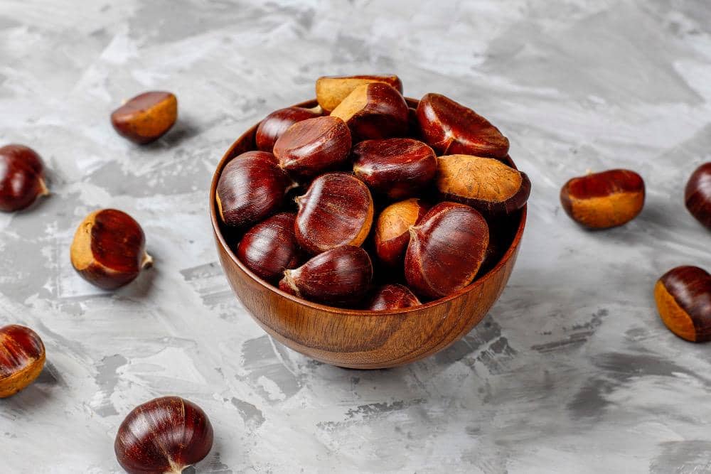 ilustrasi semangkuk chestnut