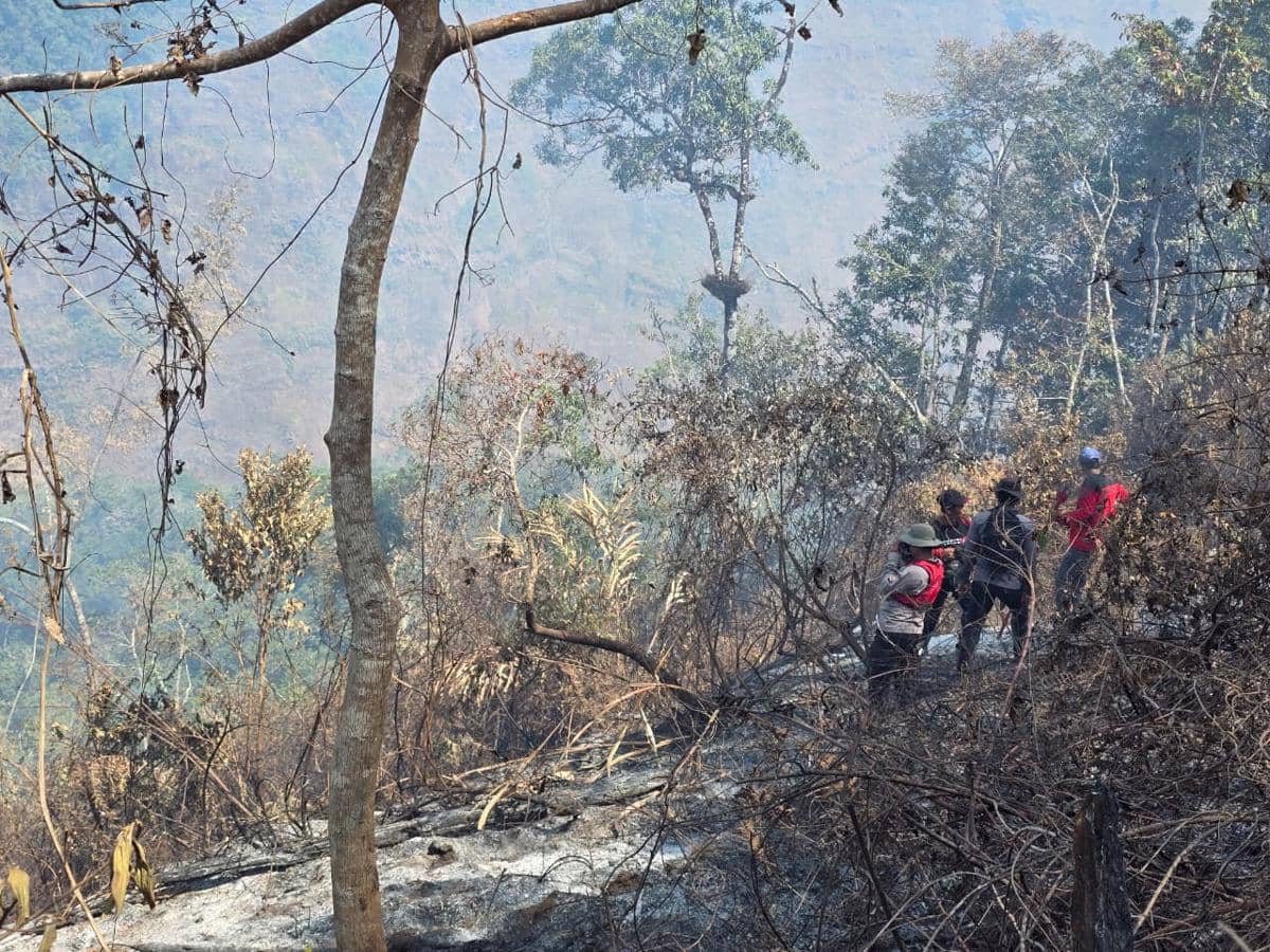 Karhutla Rinjani Reda, Jalur Torean dan Senaru Masih Ditutup