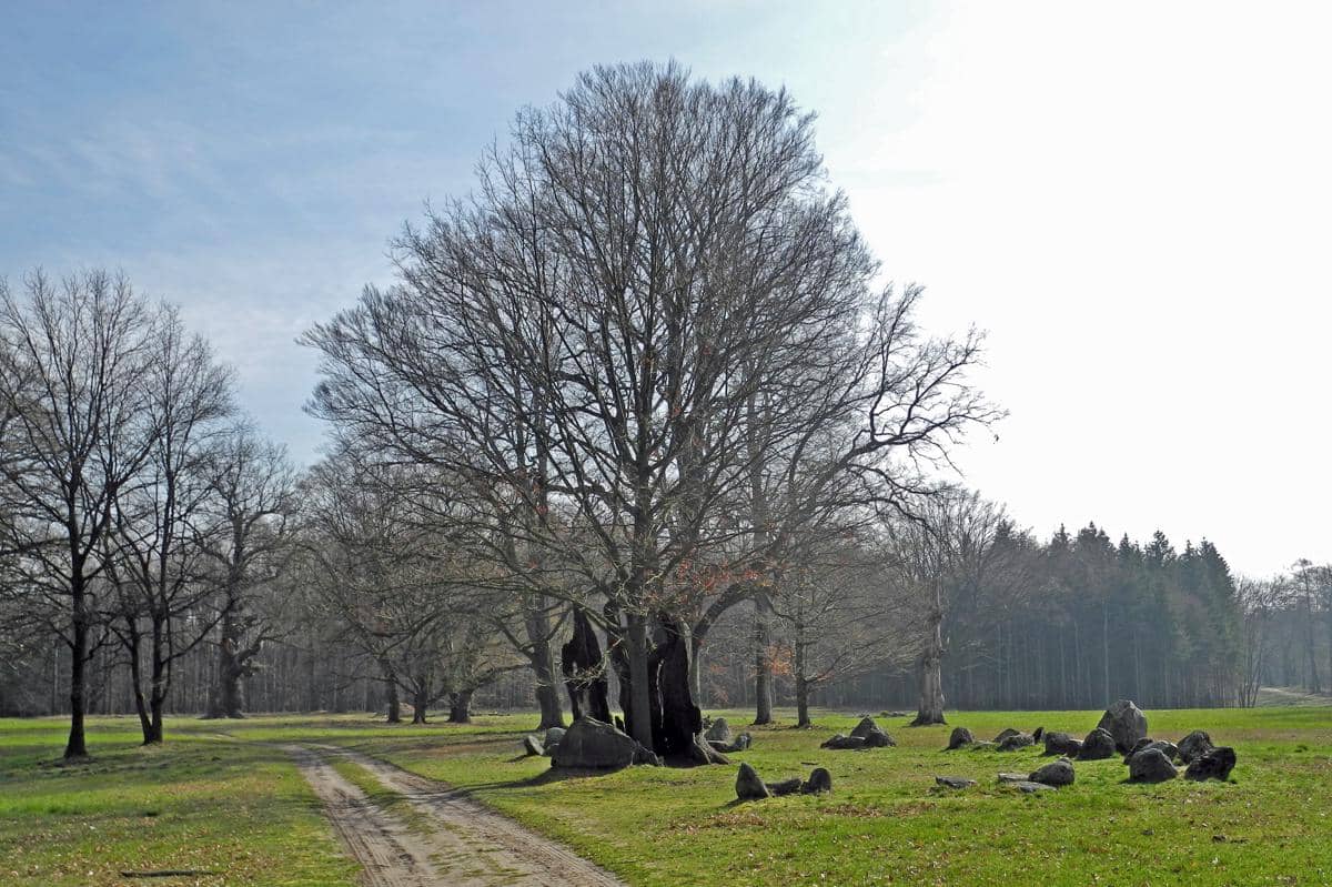Muskauer Park