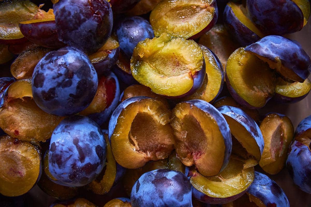 ilustrasi buah plum sudah matang