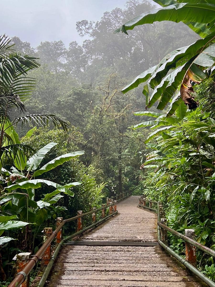 Angela Gilsha healing di Air Terjun Cibereum
