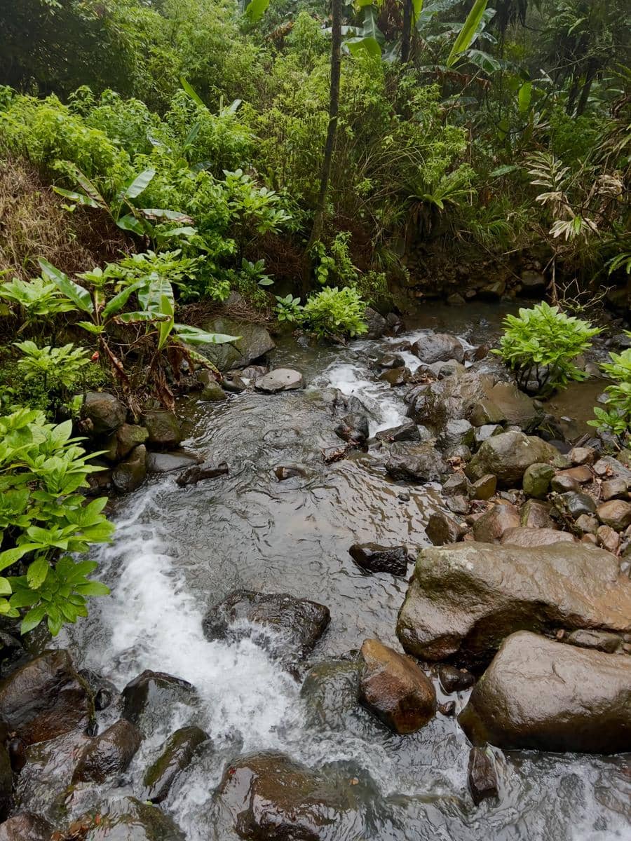 Angela Gilsha healing di Air Terjun Cibereum