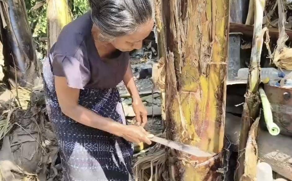 Seorang warga Pulau Palue meminum air dari batang pisang yang dibelah, terekam dalam cuplikan video viral.