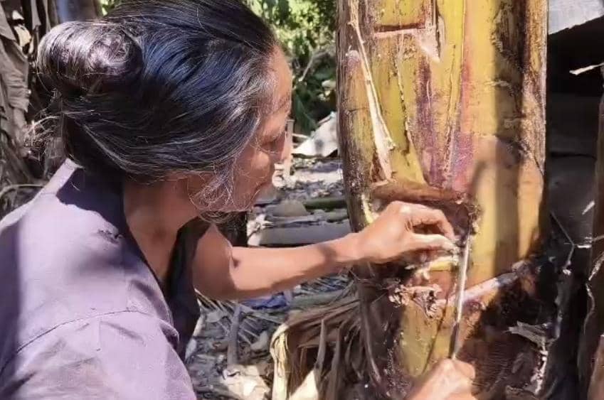 Tangkapan layar video memperlihatkan warga Pulau Palue meminum air yang ditampung dari batang pisang.