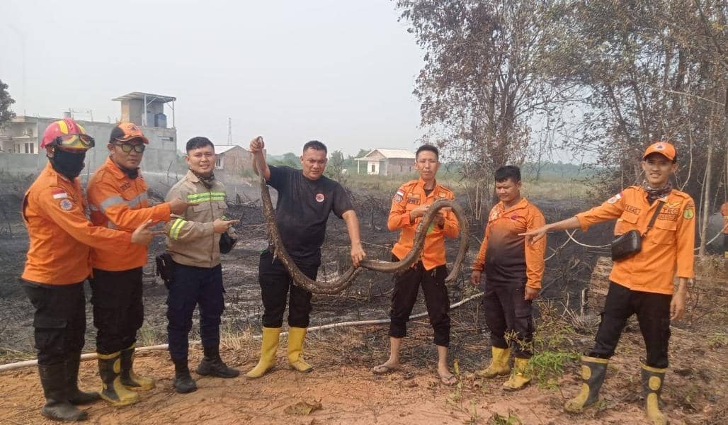 70 Karhutla Terjadi dalam Sehari di Sumsel, Hotspot Terpantau 1.669 Titik