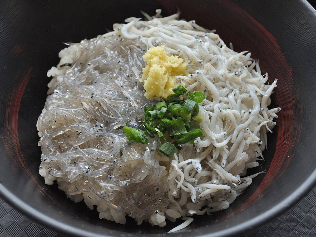 potret kuliner shirasu (ikan teri putih atau sarden muda) yang merupakan salah satu kuliner ikonik Kota Kamakura