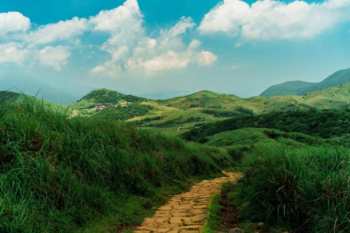 ilustrasi pemandangan di Yangmingshan National Park Taiwan