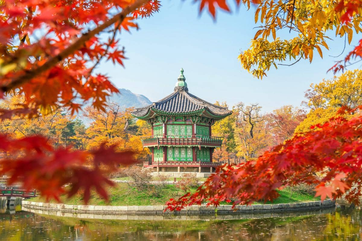 7 Destinasi Musim Gugur di Korea dengan Pemandangan Cantik