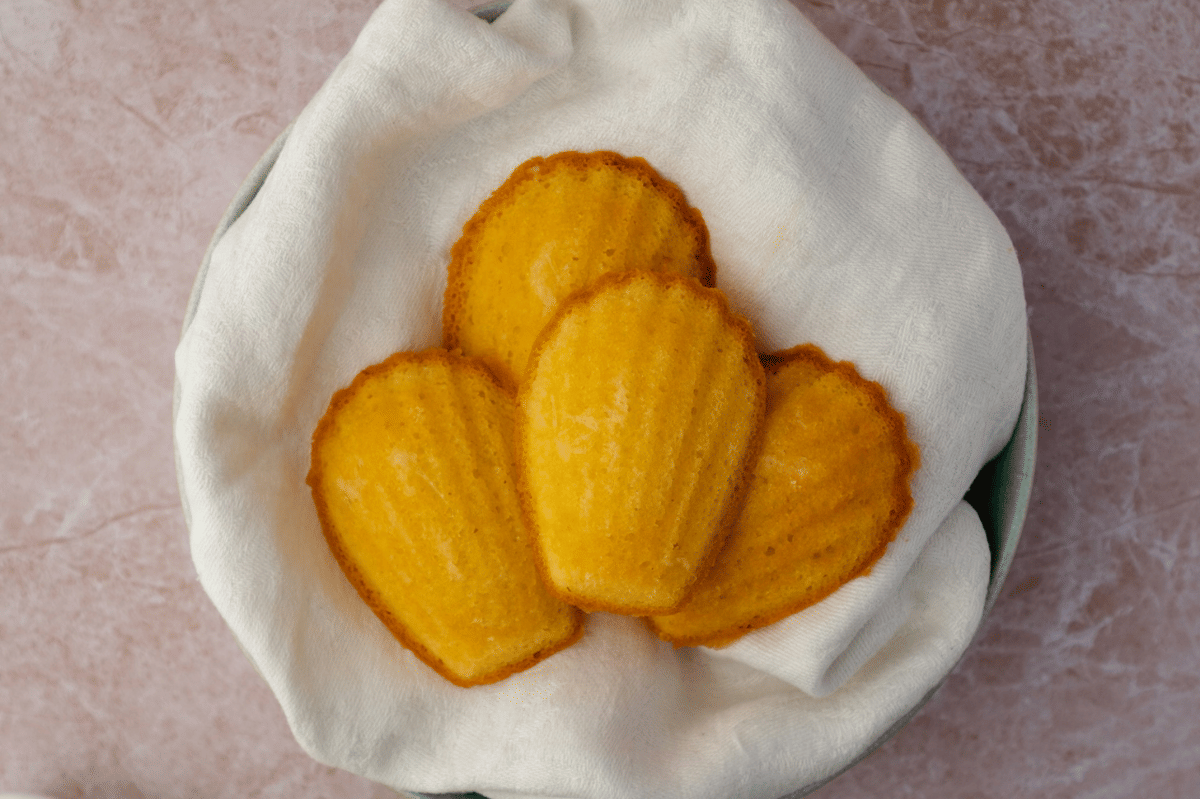 ilustrasi madeleine orange lemon