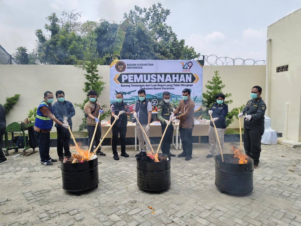 Bakso, Daging, hingga Benih Bawaan dari Malaysia Dimusnahkan di Lampung