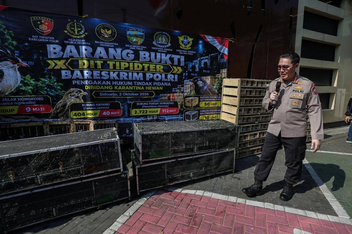 Polisi Sita 3.394 Burung Selundupan di Sidoarjo, 2 WNA Jadi Tersangka