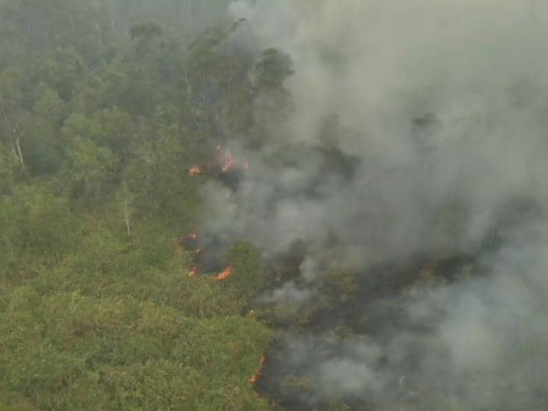 Karhutla Way Kambas Meluas, 54 Water Bombing Tak Sanggup Padamkan Api