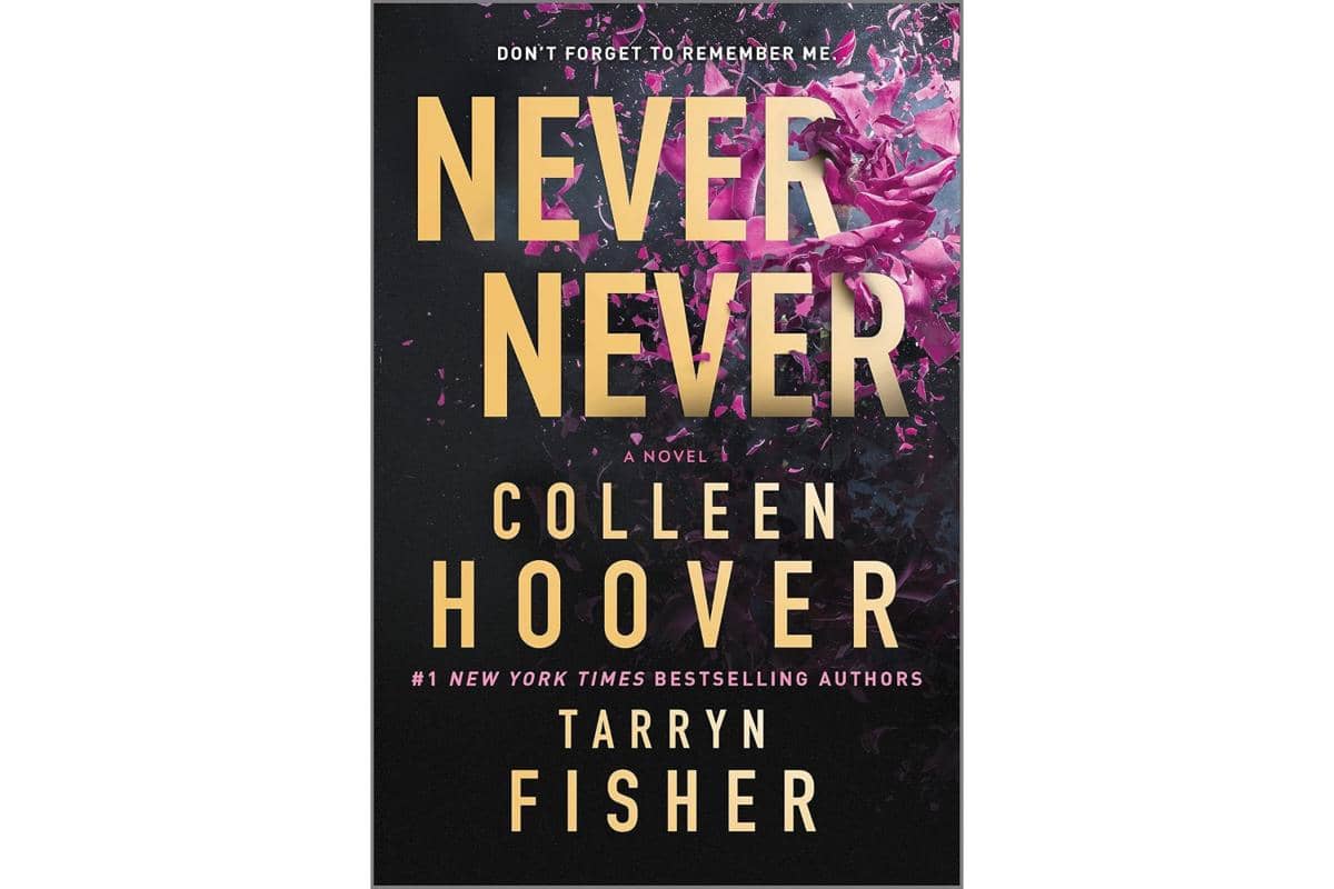 kover novel Never Never