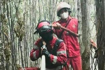 582 Hotspot Terpantau, Kemenhut Kerahkan Operasi Darat dan Udara