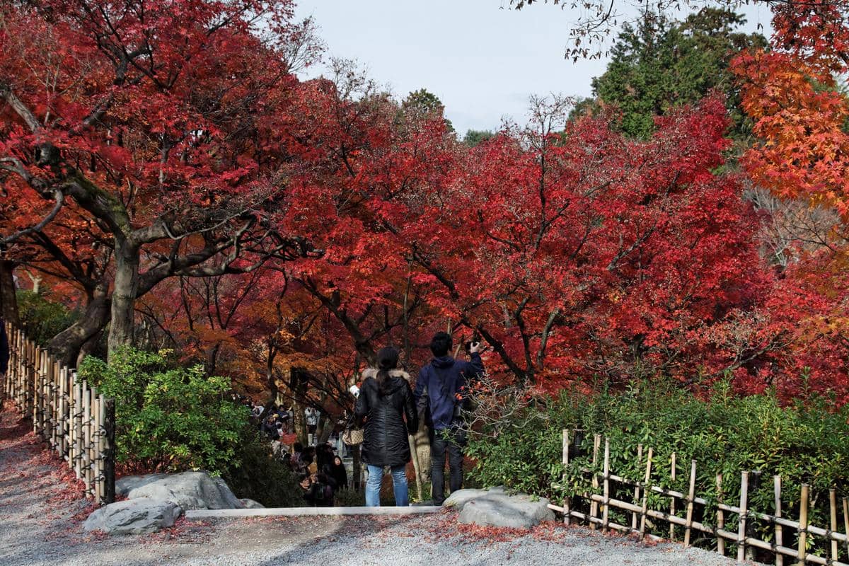 Tofuku-ji