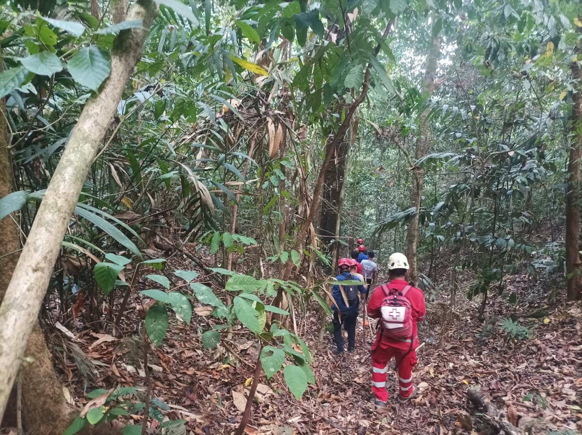 Warga Luwu Timur Hilang Saat Cari Kayu di Hutan, Tim SAR Dikerahkan