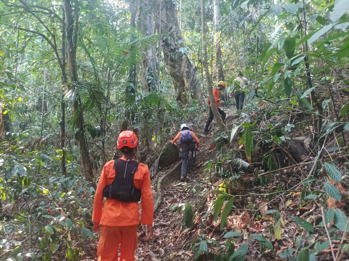 Tim SAR mencari seorang warga yang dilaporkan hilang setelah pergi ke hutan untuk mencari kayu di Kabupaten Luwu Timur, Sulawesi Selatan. (D