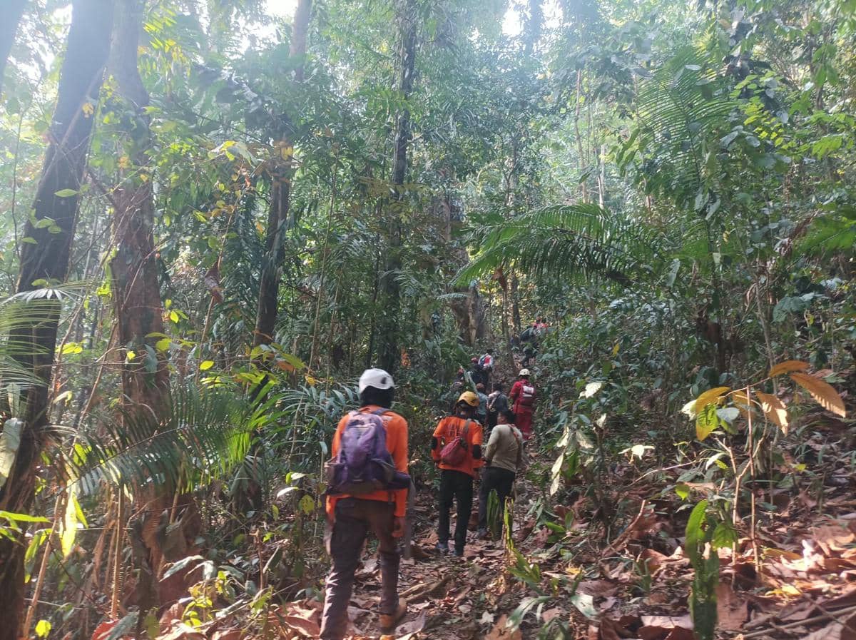 Tim SAR mencari seorang warga yang dilaporkan hilang setelah pergi ke hutan untuk mencari kayu di Kabupaten Luwu Timur, Sulawesi Selatan. (D