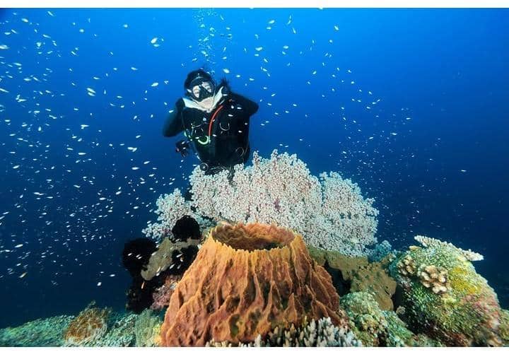 Naysilla Mirdad liburan di Halmahera Selatan