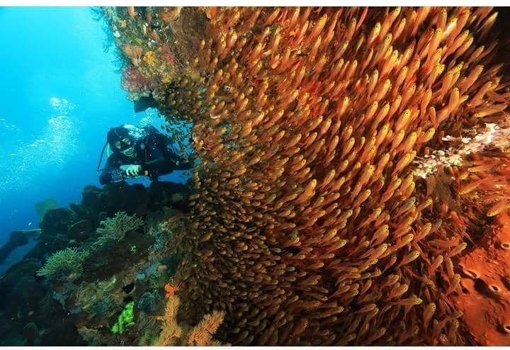 Naysilla Mirdad liburan di Halmahera Selatan