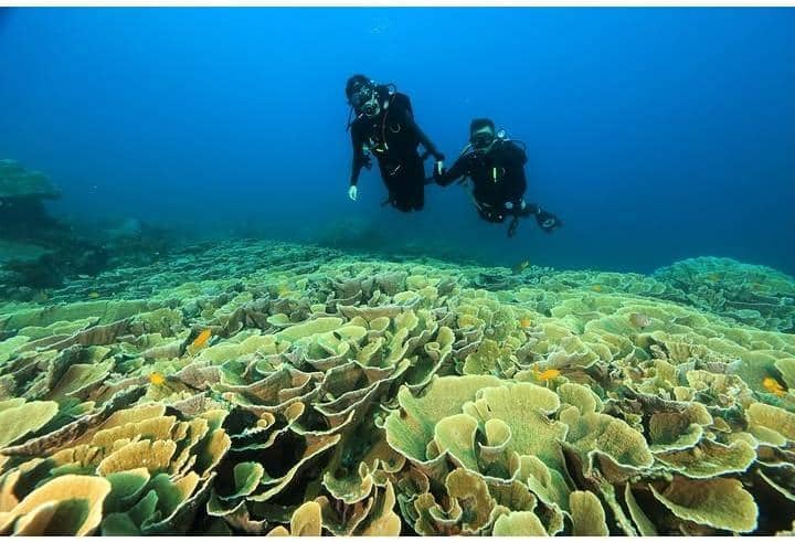 Naysilla Mirdad liburan di Halmahera Selatan