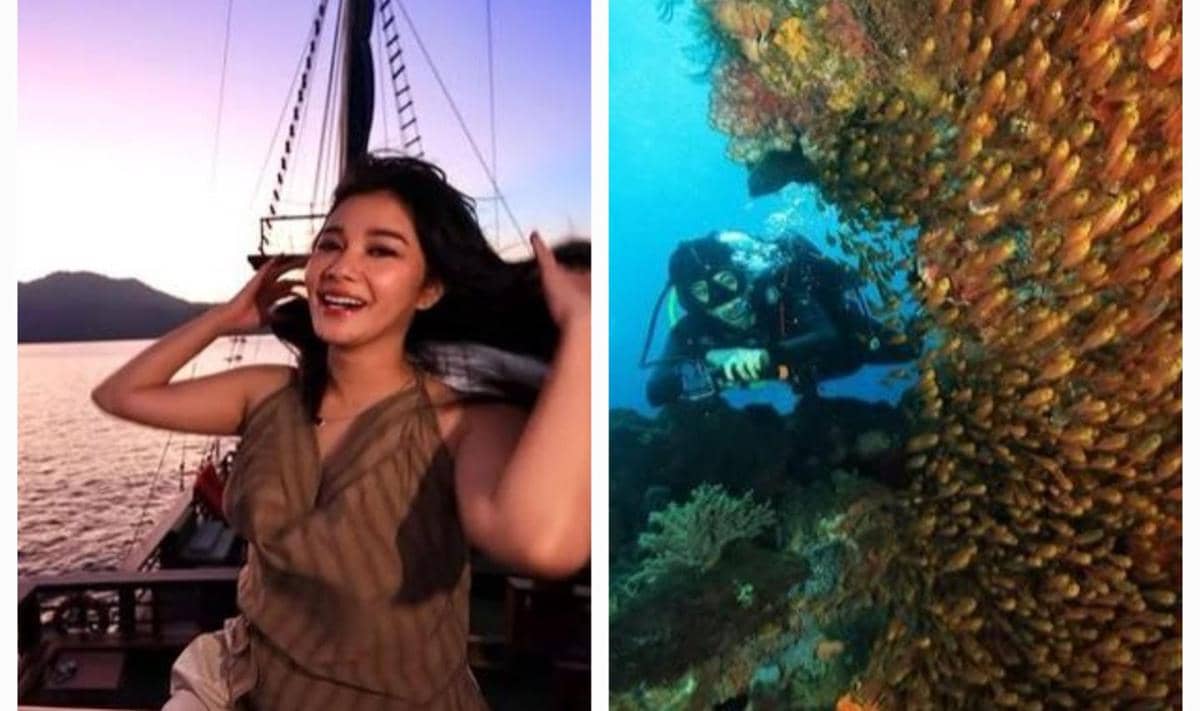 Naysilla Mirdad Liburan di Halmahera Selatan, Diving ke Bawah Laut